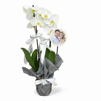 Kişiye Özel Resimli Beyaz Orkide