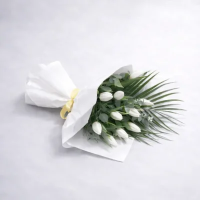 Beyaz Asalet Laleleri