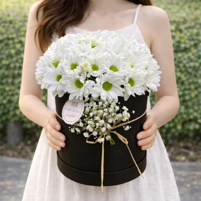 Kutuda Beyaz Papatya