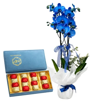 Royal Blue Orkide ve Gurme Çikolata