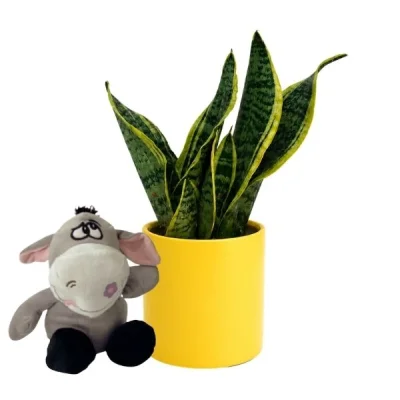 Sarı Luna Paşa Kılıcı Sevimli Eşek Peluş