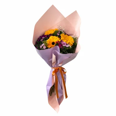 Turuncu Gerbera Dansı
