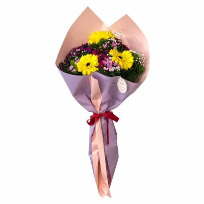 Sarı Gerbera Melodisi