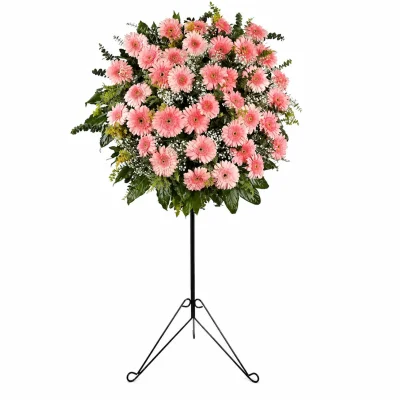 Pembe Gerberalar Ferforje