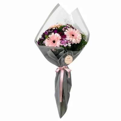 Pembe Gerbera Şiiri