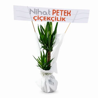 İkili Yukka Çiçeği