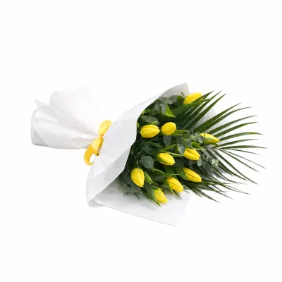 Golden Touch Tulip