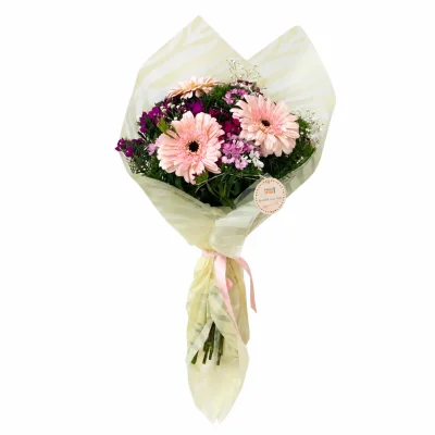 Pembe Gerbera Masalları