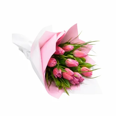 Soft Pink Tulip