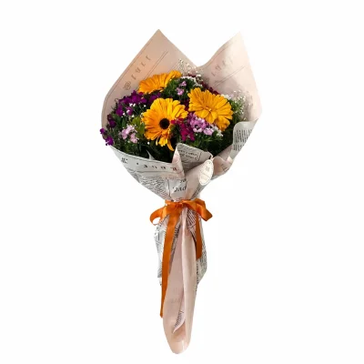 Turuncu Gerbera Melodisi