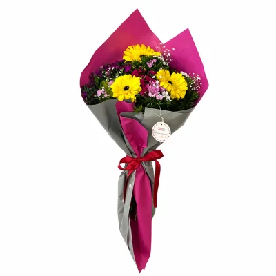 Sarı Gerbera Hikayesi
