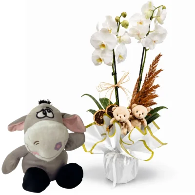 Romantik Bahçe