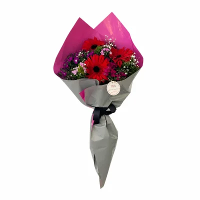 Aşkın Dansı Gerberalar