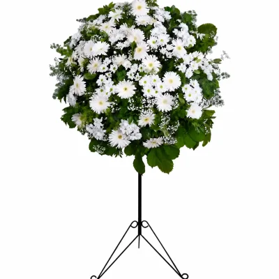 Beyaz Gerbera ve Papatyalar Ferforje