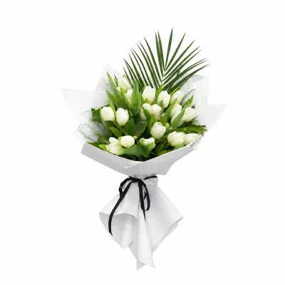 Pure White Tulip