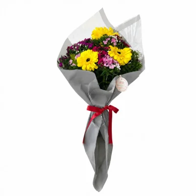 Sarı Gerbera Serenatı